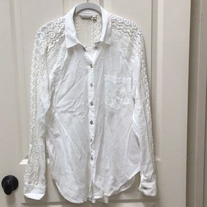 Anthropology’s Holding Horses